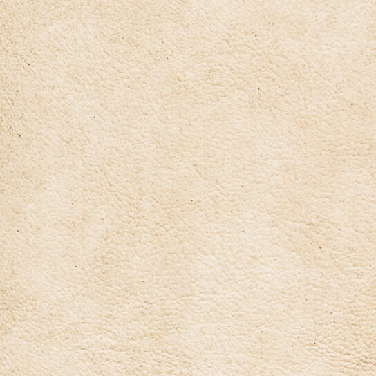 Cream Vinyl Fabric Advanced Upholstery