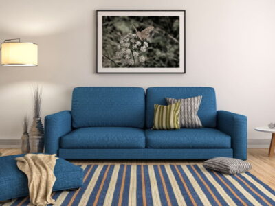 new lease of life sofa